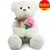 毛绒玩具 泰迪熊抱抱熊 抱花熊 布娃娃 玩具公仔 生日创意礼物(白色 35厘米)