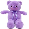 紫熊 毛绒玩具泰迪熊 薰衣草小熊公仔布娃娃(丝带款 1.6米)
