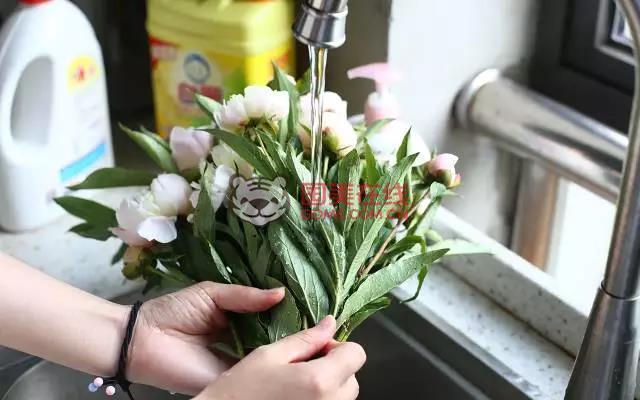 芍药花怎么保存