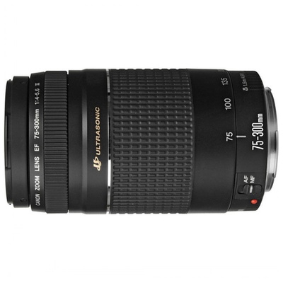 佳能(Canon)EF 75-300mmf\/4-5.6Ⅲ 远摄变焦镜