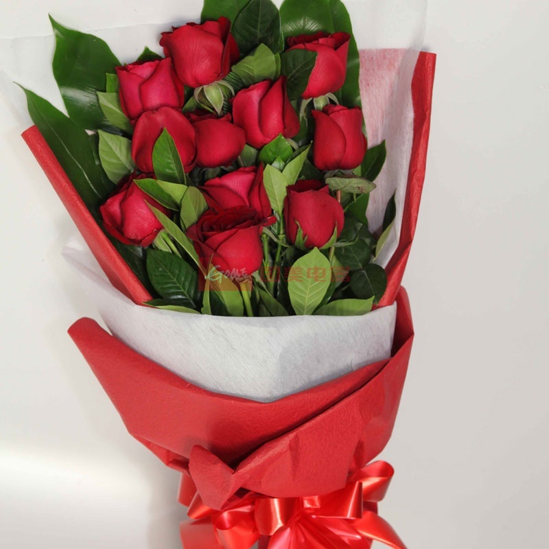 鲜花速递 珍爱 11枝精品红玫瑰 0308