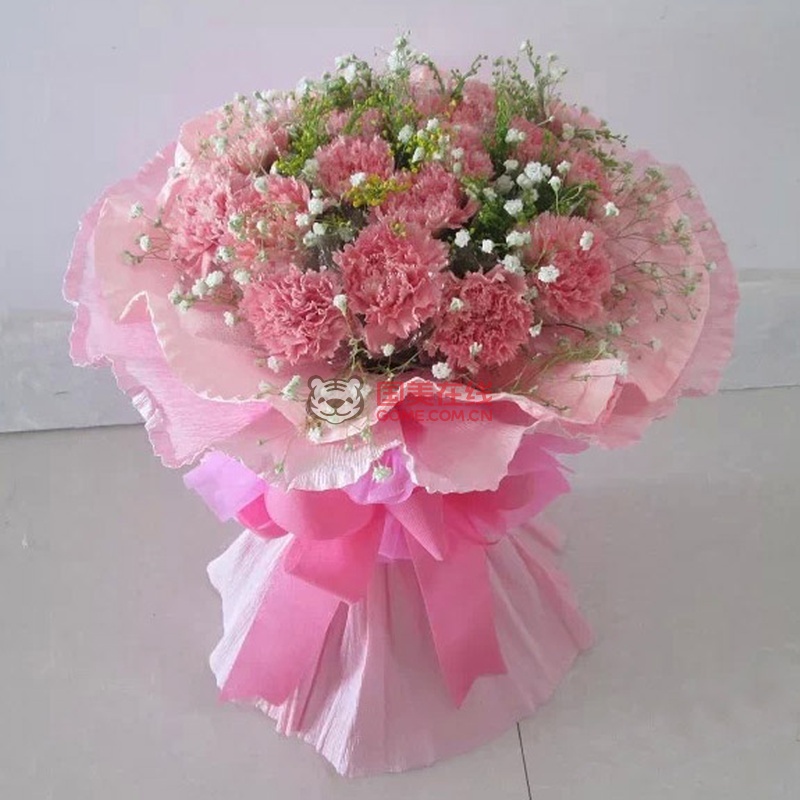 19朵粉色康乃馨母亲节教师节送花探望病人鲜花速递妇女节妈妈生日鲜花