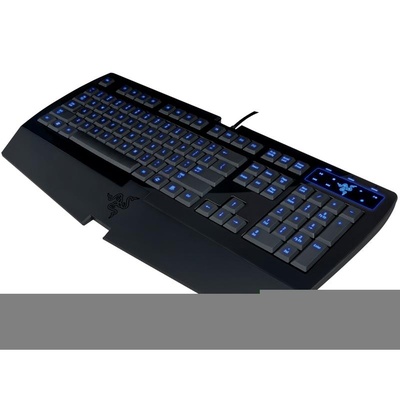 雷蛇(razer)黑腹狼蛛普通版游戏键盘(rz03-00180100-r3m1) - 【图片